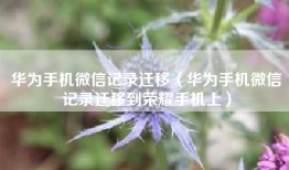 华为手机微信记录迁移（华为手机微信记录迁移到荣耀手机上）