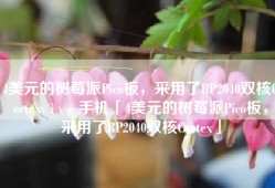 4美元的树莓派Pico板，采用了RP2040双核Cortexv i v o 手机「4美元的树莓派Pico板，采用了RP2040双核Cortex」