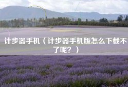 计步器手机（计步器手机版怎么下载不了呢？）
