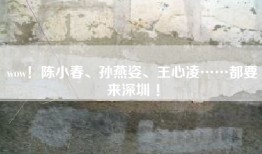 wow！陈小春、孙燕姿、王心凌……都要来深圳 ！