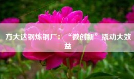 方大达钢炼钢厂：“微创新”撬动大效益