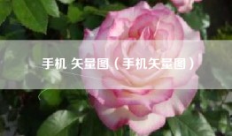 手机 矢量图（手机矢量图）
