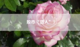 股市“猎人″！