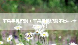 苹果手机识别（苹果手机识别不出sim卡怎么办）