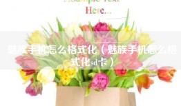 魅族手机怎么格式化（魅族手机怎么格式化sd卡）