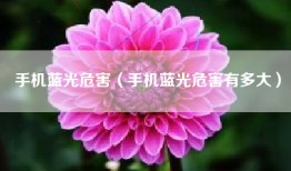手机蓝光危害（手机蓝光危害有多大）