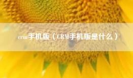 crm手机版（CRM手机版是什么）