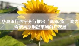 华夏银行西宁分行推出“高原e贷” 助力青藏高原集散市场商户发展