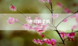 老司机手机