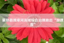 襄垣县浊漳河流域综合治理跑出“加速度”