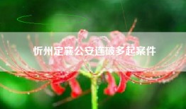 忻州定襄公安连破多起案件