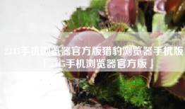 2345手机浏览器官方版猎豹浏览器手机版「2345手机浏览器官方版」