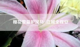 樱花警蓝护汉马  江城全程安