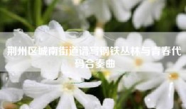 荆州区城南街道谱写钢铁丛林与青春代码合奏曲