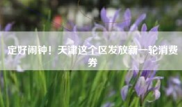 定好闹钟！天津这个区发放新一轮消费券