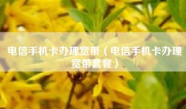 电信手机卡办理宽带（电信手机卡办理宽带套餐）