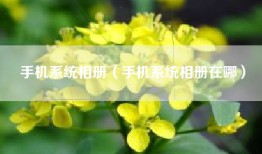 手机系统相册（手机系统相册在哪）