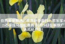 在热爱里相遇，在奔跑中前行，君乐宝2025石家庄马拉松赛将于3月30日在解放广场鸣枪开跑！