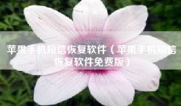 苹果手机短信恢复软件（苹果手机短信恢复软件免费版）