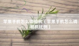 苹果手机怎么调相机（苹果手机怎么调相机比例）