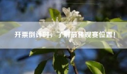 开票倒计时，了解最佳观赛位置！