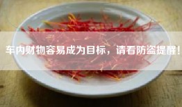 车内财物容易成为目标，请看防盗提醒！