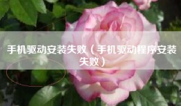 手机驱动安装失败（手机驱动程序安装失败）