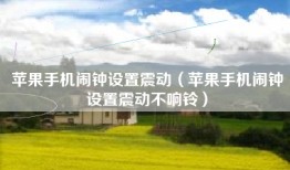 苹果手机闹钟设置震动（苹果手机闹钟设置震动不响铃）