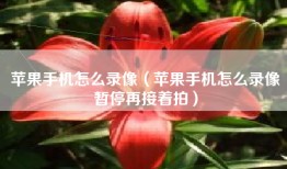 苹果手机怎么录像（苹果手机怎么录像暂停再接着拍）