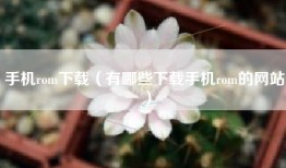 手机rom下载（有哪些下载手机rom的网站）