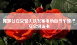 涞源公安交警大队发布电动自行车骑行安全倡议书