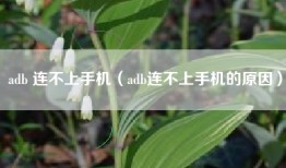 adb 连不上手机（adb连不上手机的原因）