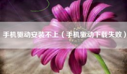 手机驱动安装不上（手机驱动下载失败）