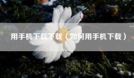 用手机下载下载（如何用手机下载）