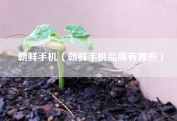 朝鲜手机（朝鲜手机品牌有哪些）