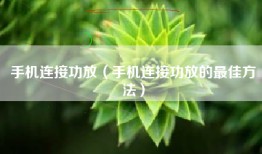 手机连接功放（手机连接功放的最佳方法）