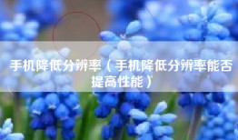 手机降低分辨率（手机降低分辨率能否提高性能）