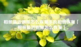 相册最近删除怎么恢复手机相册恢复「相册最近删除怎么恢复」