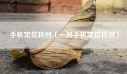 手机定位找回（一加手机定位找回）