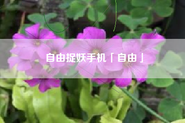 自由捉妖手机「自由」