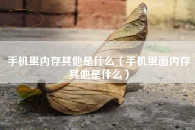 手机里内存其他是什么（手机里面内存其他是什么）
