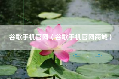 谷歌手机官网（谷歌手机官网商城）