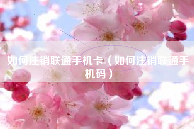 如何注销联通手机卡（如何注销联通手机码）