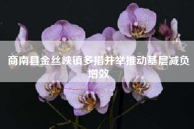 商南县金丝峡镇多措并举推动基层减负增效