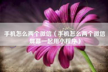 手机怎么两个微信（手机怎么两个微信屏幕一起用小程序）