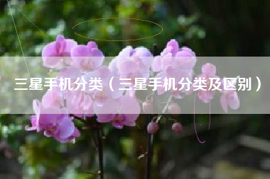 三星手机分类（三星手机分类及区别）