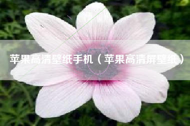 苹果高清壁纸手机（苹果高清屏壁纸）