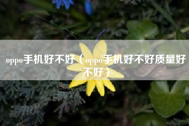 oppo手机好不好（oppo手机好不好质量好不好）