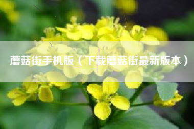 蘑菇街手机版（下载蘑菇街最新版本）