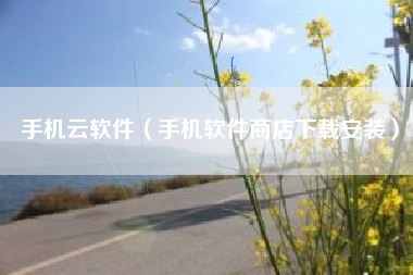 手机云软件（手机软件商店下载安装）